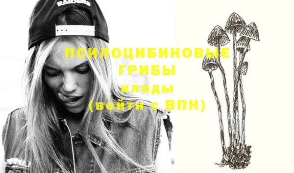 таблы Верхний Тагил