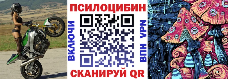 Галлюциногенные грибы Psilocybine cubensis Выборг