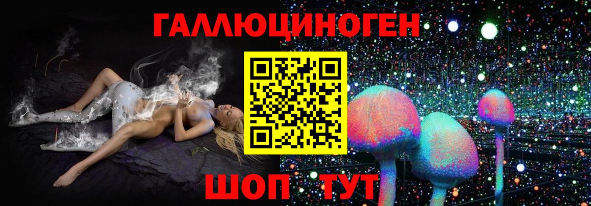 Выборг  Псилоцибиновые грибы мухоморы  Вход с VPN  Псилоцибиновые грибы Psilocybine cubensis 